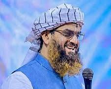 ৭০ শতাংশ জনগণের মতামত উপেক্ষা করে ক্ষমতায় টিকে থাকা সম্ভব নয়: মামুনুল হক