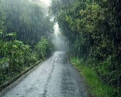 দুপুরের মধ্যে ঢাকাসহ ১৯ জেলায় বজ্রবৃষ্টির আশঙ্কা, নদীবন্দরে ১ নম্বর সতর্ক সংকেত